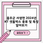 울주군 서생면 2024년 KT 셋톱박스 종류 및 특징 알아보기