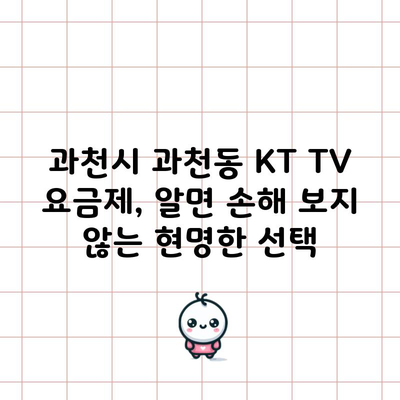 과천시 과천동 KT TV 요금제, 알면 손해 보지 않는 현명한 선택