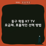 동구 학동 KT TV 요금제, 효율적인 선택 방법