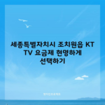 세종특별자치시 조치원읍 KT TV 요금제 현명하게 선택하기