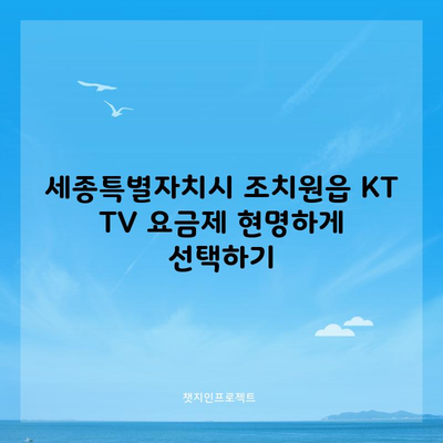 세종특별자치시 조치원읍 KT TV 요금제 현명하게 선택하기