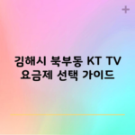 김해시 북부동 KT TV 요금제 선택 가이드