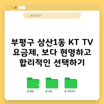 부평구 삼산1동 KT TV 요금제, 보다 현명하고 합리적인 선택하기