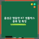 음성군 맹동면 KT 셋톱박스 종류 및 특징