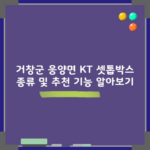 거창군 웅양면 KT 셋톱박스 종류 및 추천 기능 알아보기