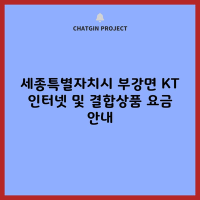 세종특별자치시 부강면 KT 인터넷 및 결합상품 요금 안내