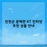 진천군 문백면 KT 인터넷 추천 상품 안내