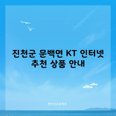 진천군 문백면 KT 인터넷 추천 상품 안내