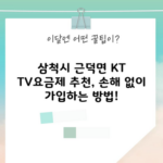 삼척시 근덕면 KT TV요금제 추천, 손해 없이 가입하는 방법!