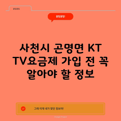 사천시 곤명면 KT TV요금제 가입 전 꼭 알아야 할 정보