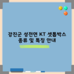 강진군 성전면 KT 셋톱박스 종류 및 특징 안내