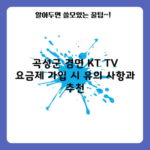 곡성군 겸면 KT TV 요금제 가입 시 유의 사항과 추천