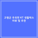 고령군 우곡면 KT 셋톱박스 리뷰 및 추천