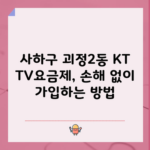 사하구 괴정2동 KT TV요금제, 손해 없이 가입하는 방법