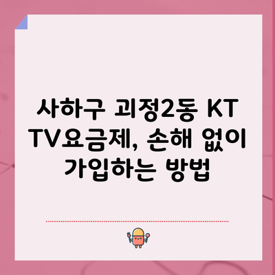 사하구 괴정2동 KT TV요금제, 손해 없이 가입하는 방법