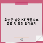 화순군 남면 KT 셋톱박스 종류 및 특징 알아보기