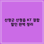 산청군 산청읍 KT 결합 할인 완벽 정리