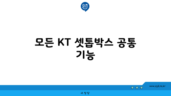 모든 KT 셋톱박스 공통 기능