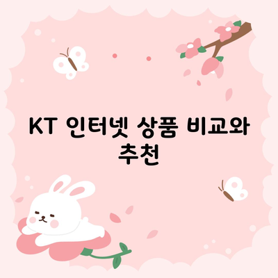 KT 인터넷 상품 비교와 추천