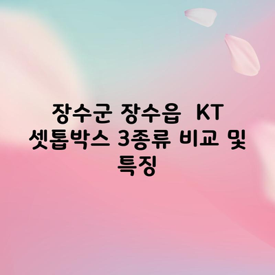 장수군 장수읍  KT 셋톱박스 3종류 비교 및 특징