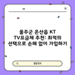 KT TV 요금제, 잘못 골랐다가 60만 원 손해 봅니다.