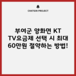 부여군 양화면 KT TV요금제 선택 시 최대 60만원 절약하는 방법!