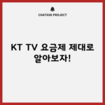 KT TV 요금제 제대로 알아보자!