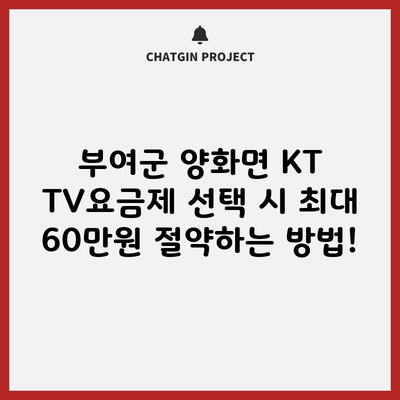 부여군 양화면 KT TV요금제 선택 시 최대 60만원 절약하는 방법!