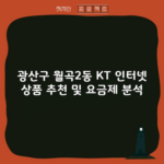 광산구 월곡2동 KT 인터넷 상품 추천 및 요금제 분석