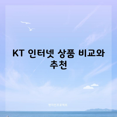 KT 인터넷 상품 비교와 추천