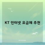 KT 인터넷 요금제 추천