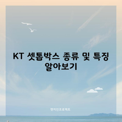 KT 셋톱박스 종류 및 특징 알아보기