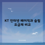 KT 인터넷 베이직과 슬림 요금제 비교