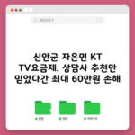 신안군 자은면 KT TV요금제, 상담사 추천만 믿었다간 최대 60만원 손해