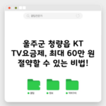 울주군 청량읍 KT TV요금제, 최대 60만 원 절약할 수 있는 비법!