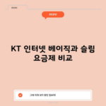 KT 인터넷 베이직과 슬림 요금제 비교