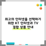 최고의 인터넷을 선택하기 위한 KT 인터넷과 TV 결합 상품 안내