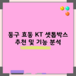 동구 효동 KT 셋톱박스 추천 및 기능 분석