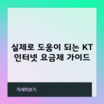 실제로 도움이 되는 KT 인터넷 요금제 가이드