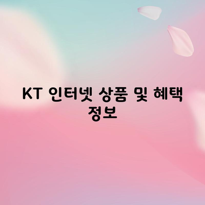 KT 인터넷 상품 및 혜택 정보