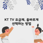 KT TV 요금제, 올바르게 선택하는 방법