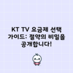 KT TV 요금제 선택 가이드: 절약의 비밀을 공개합니다!