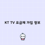 KT TV 요금제 가입 정보