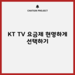 KT TV 요금제 현명하게 선택하기