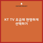 KT TV 요금제 현명하게 선택하기