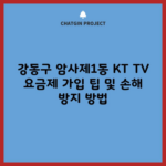 강동구 암사제1동 KT TV 요금제 가입 팁 및 손해 방지 방법