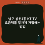 남구 봉선1동 KT TV 요금제를 알차게 가입하는 방법