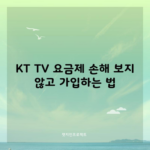 KT TV 요금제 손해 보지 않고 가입하는 법