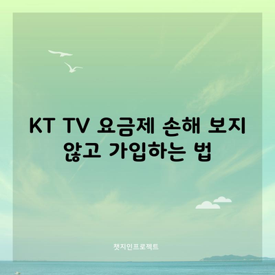 KT TV 요금제 손해 보지 않고 가입하는 법