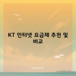 KT 인터넷 요금제 추천 및 비교